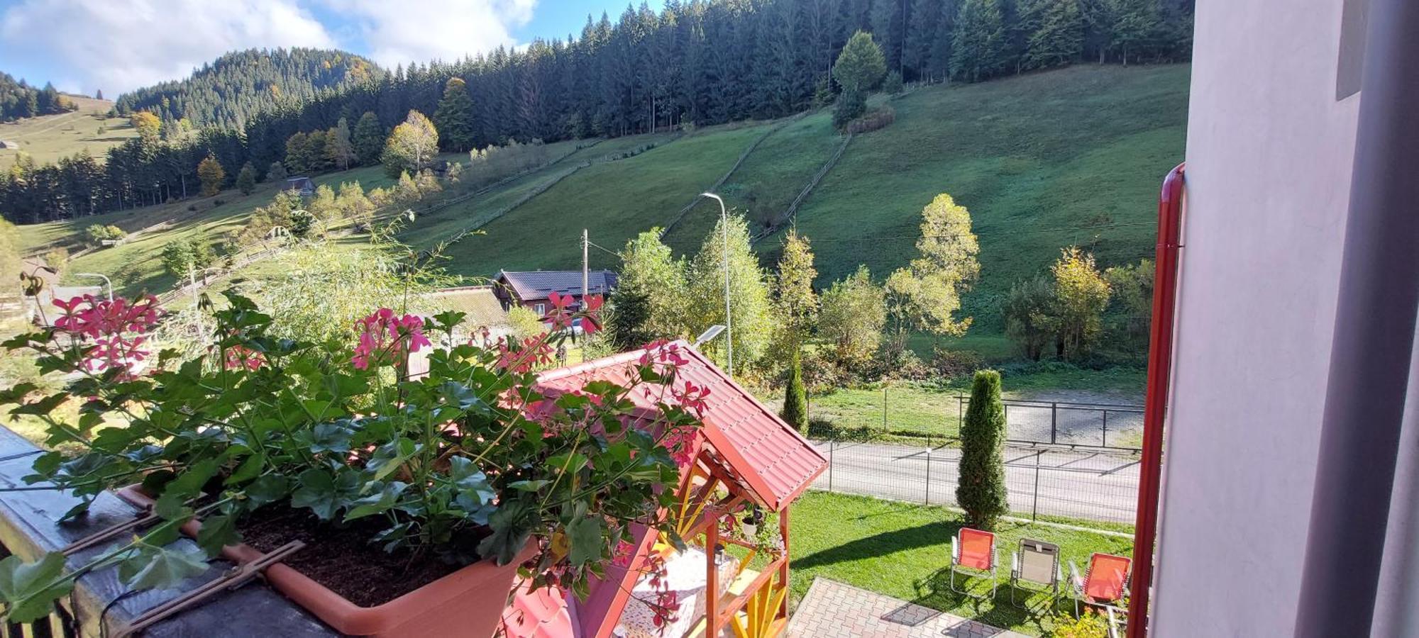 La Cascade 2 Hotel Moeciu De Sus Bagian luar foto