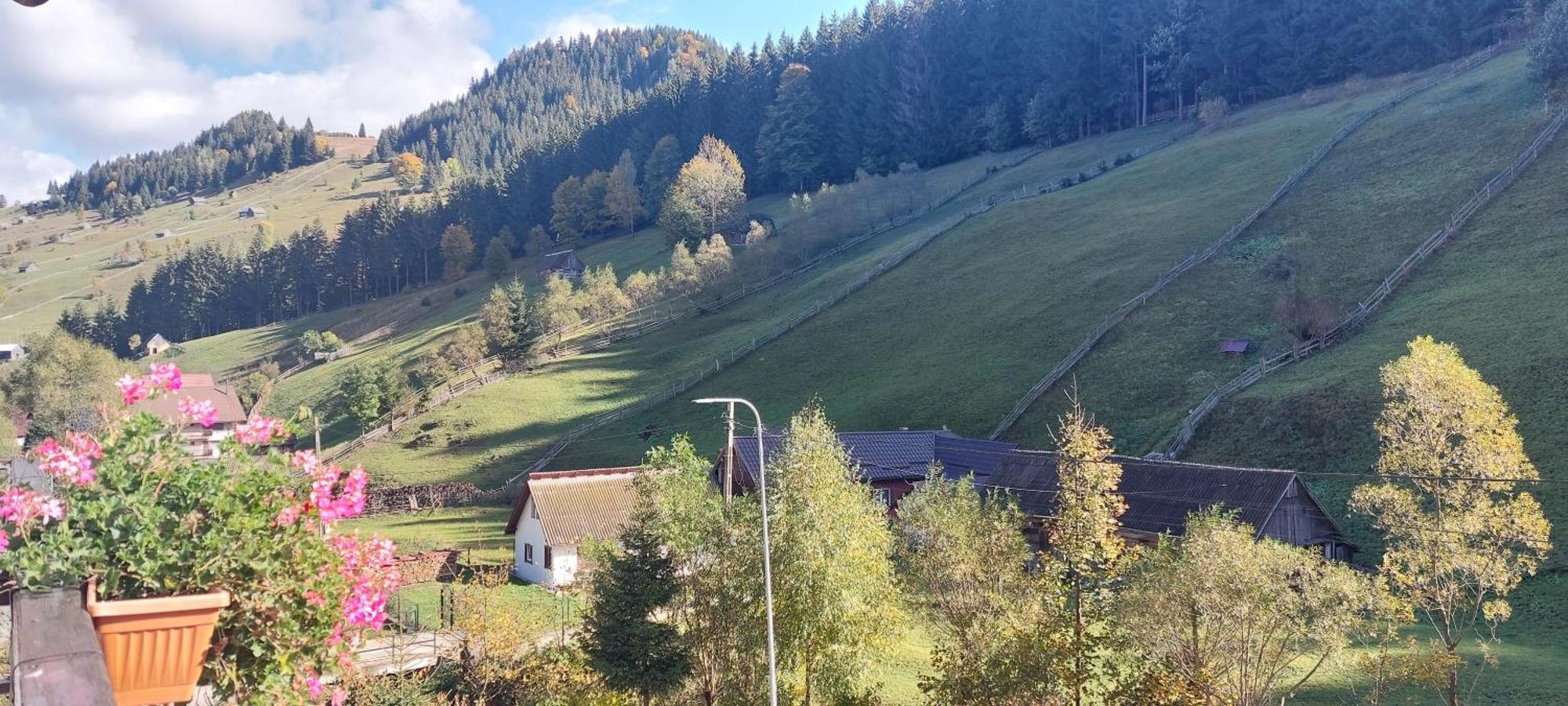La Cascade 2 Hotel Moeciu De Sus Bagian luar foto