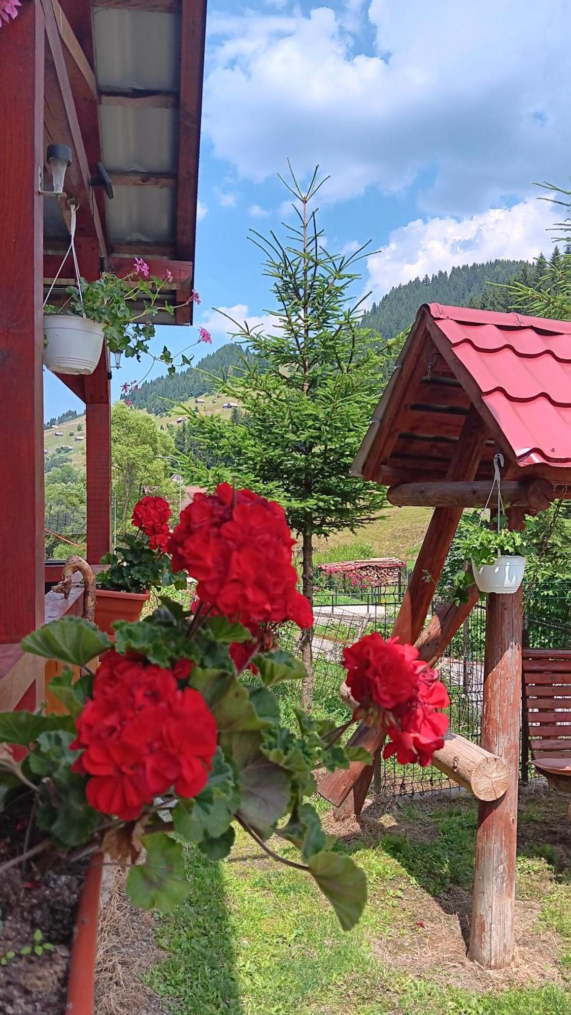 La Cascade 2 Hotel Moeciu De Sus Bagian luar foto