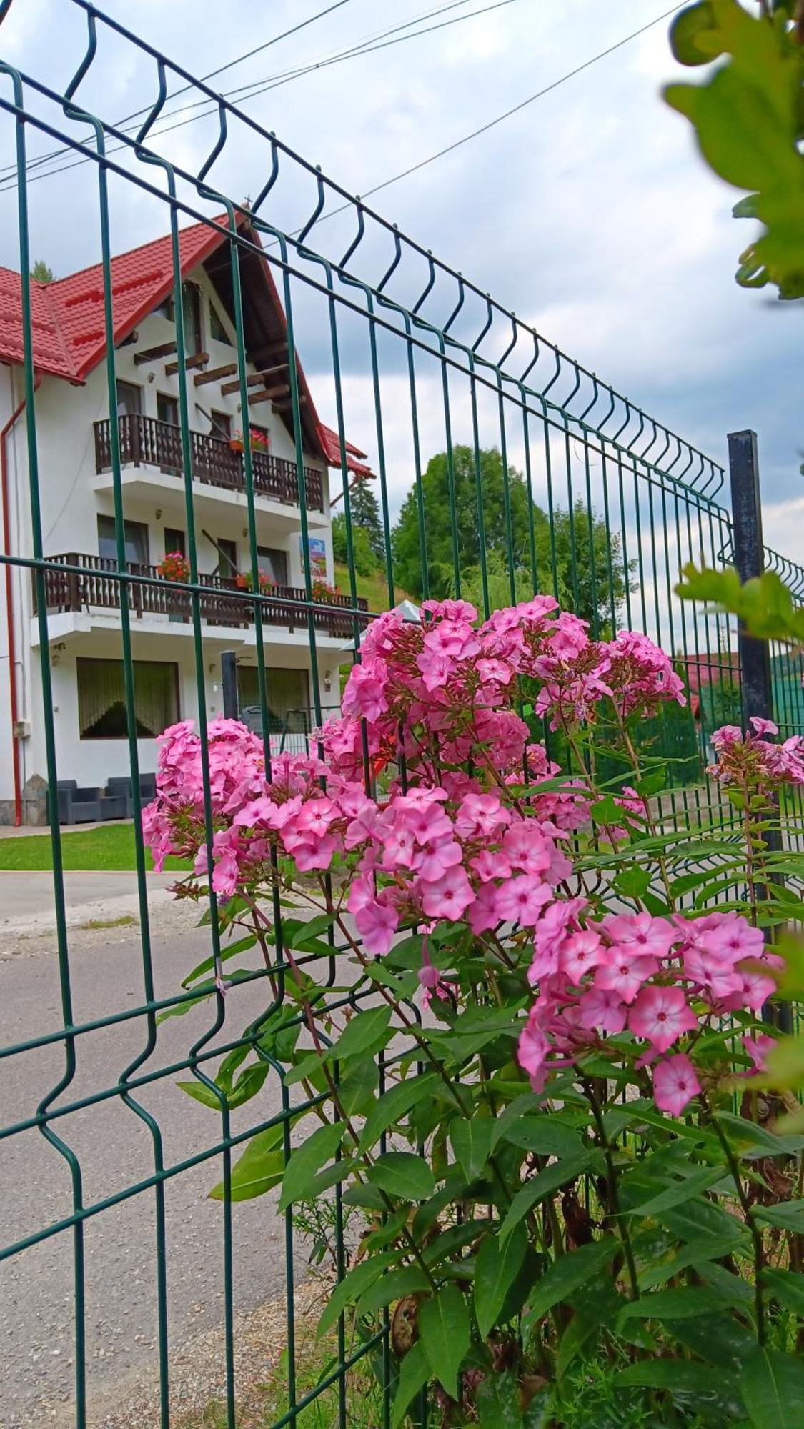 La Cascade 2 Hotel Moeciu De Sus Bagian luar foto